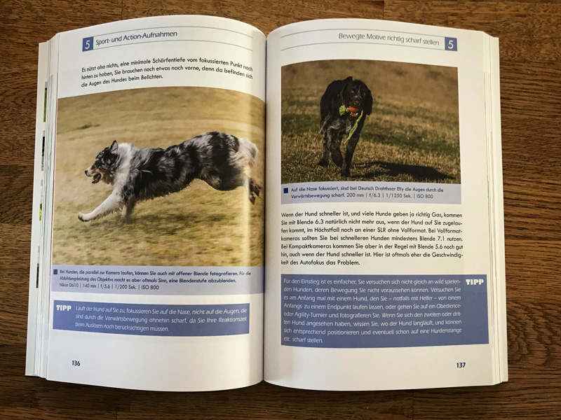 Inhalt - Hundefotografie