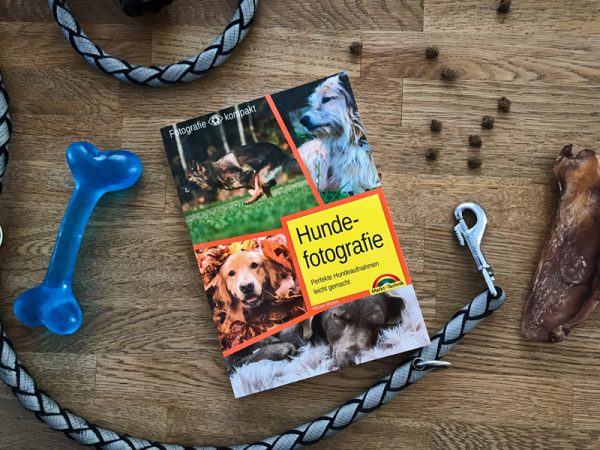 Titel - Hundefotografie