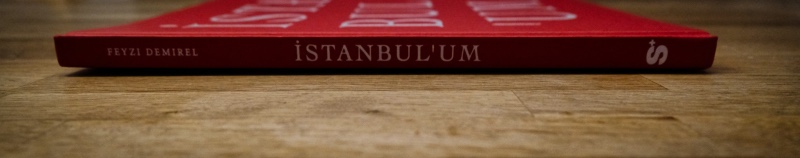 Seite - Istanbulu'um - Feyzi Demirel