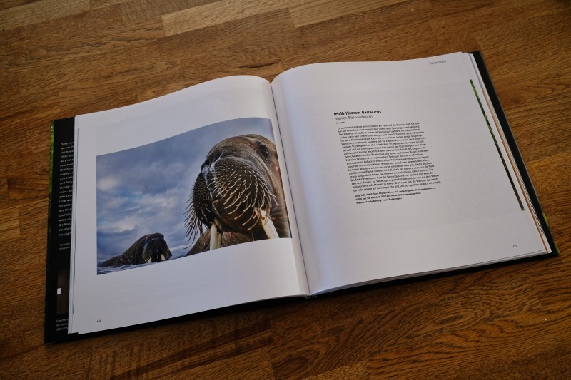 Inhalt - Wildlife - Portfolio 28