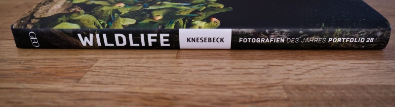 Seite - Wildlife - Portfolio 28