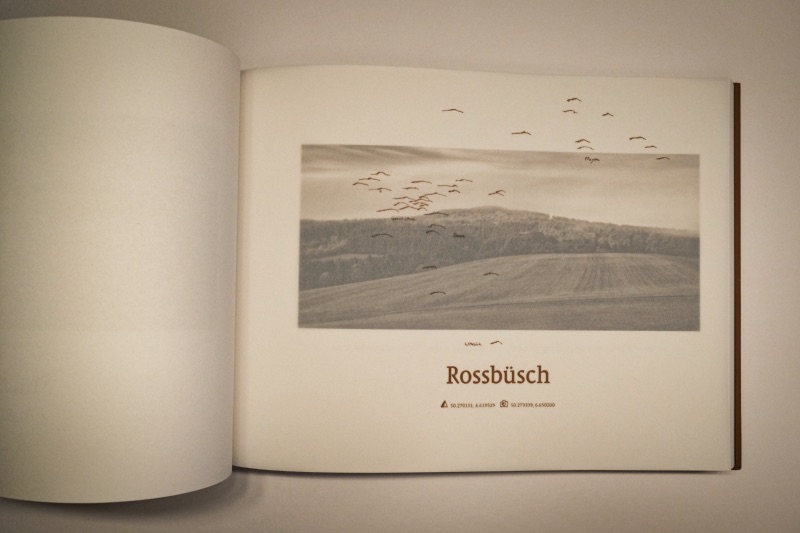 Inhalt - Vulkanland - Eddi Meier