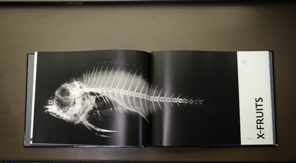 Inhalt - X-RAY - Werner Schuster