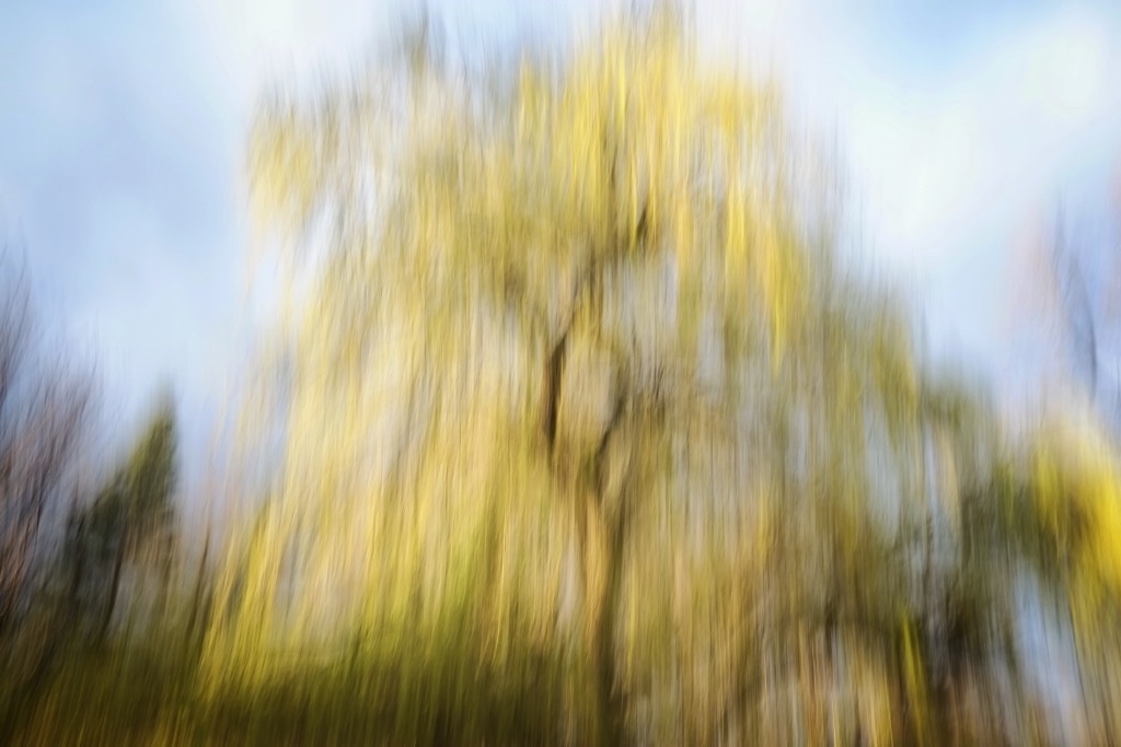 Beispiel - Fotografie zwischendurch