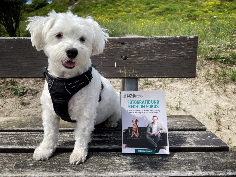 Titel - Fotografie und Recht im Fokus - Sebastian Deubelli