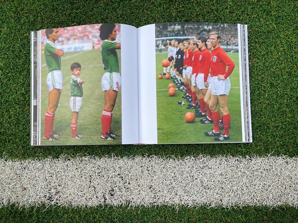 Inhalt - Reinaldo Coddou - Kunstschuss