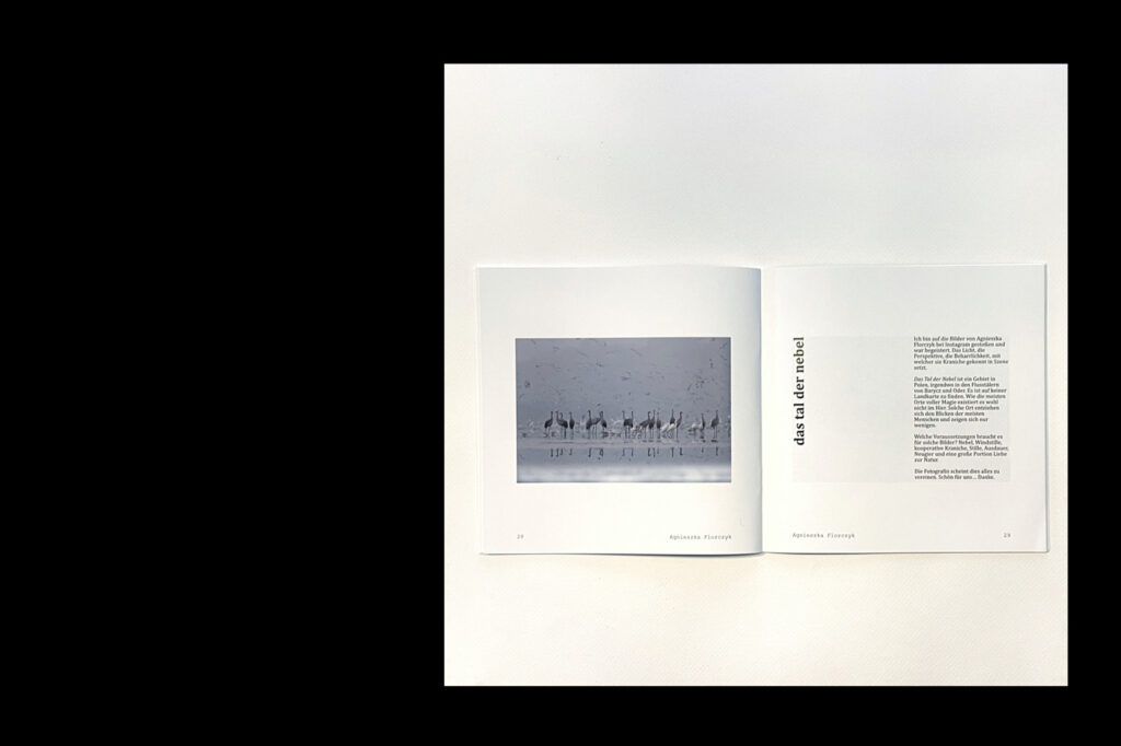 Inhalt - im Quadrat - Frank Brehe