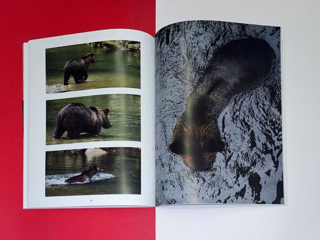 Inhalt - Canada - Paul Hüttemann