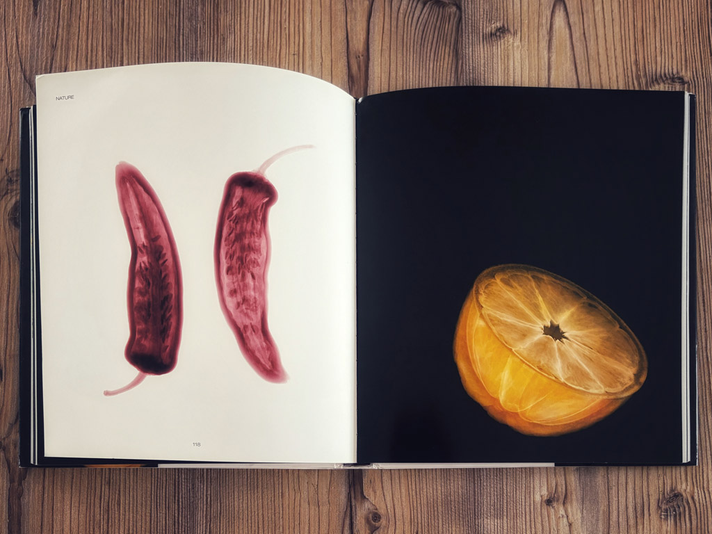 Inhalt - Nick Veasey - X-RAY