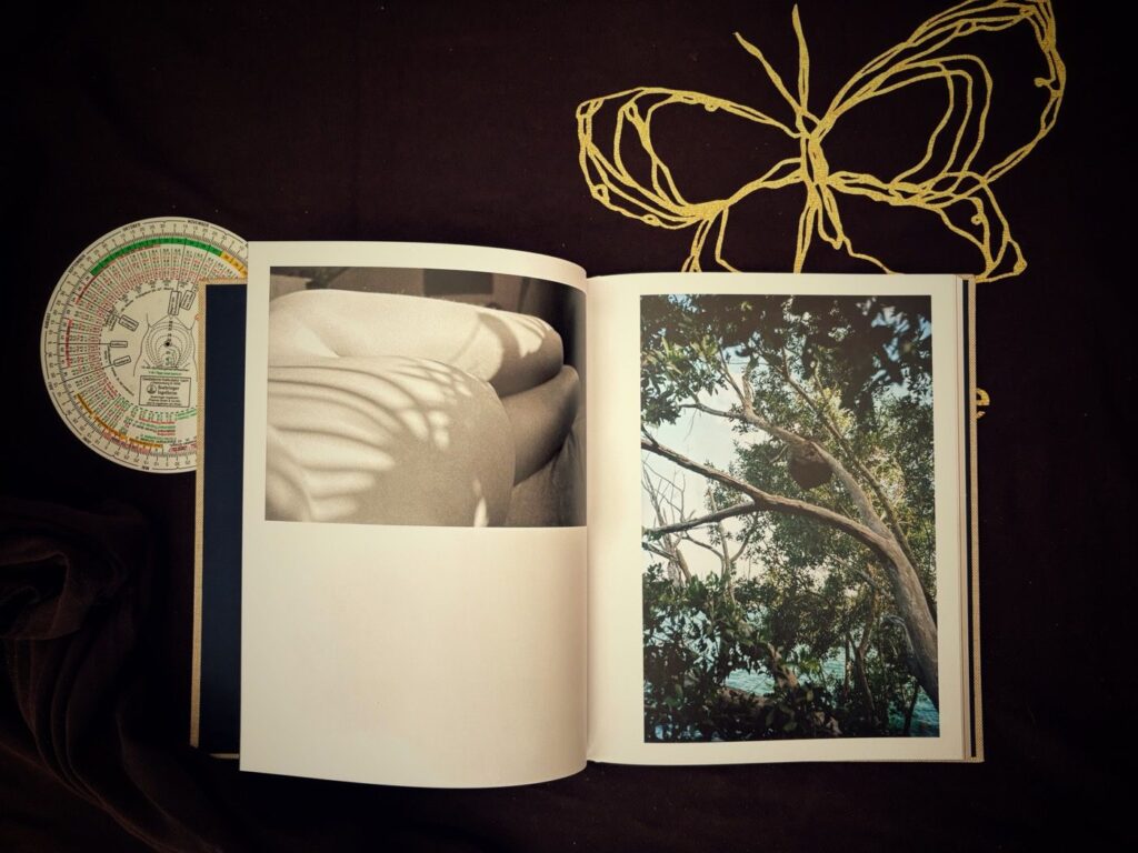 Inhalt - Becoming Parents - Janine Bächle