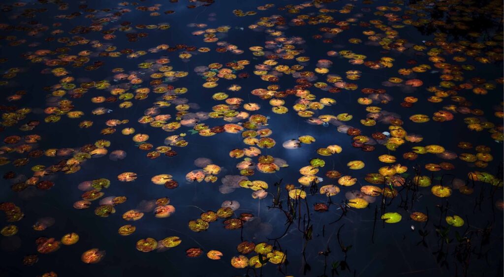 Ogawa - Buchkunst Berlin