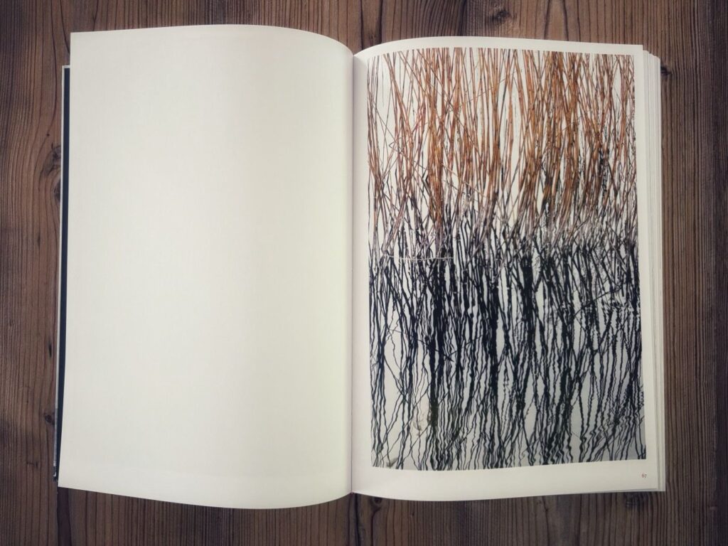 Inhalt - Bilder, die ich gesehen habe - Robert Bösch