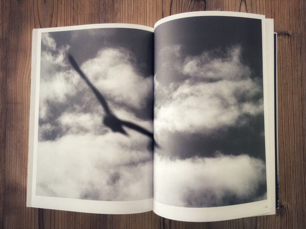 Inhalt - Bilder, die ich gesehen habe - Robert Bösch